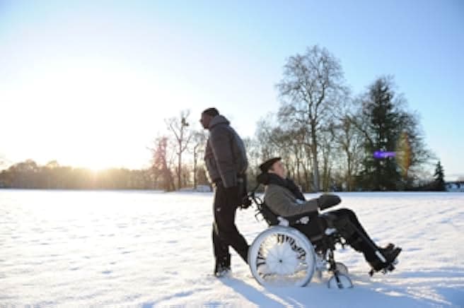 The Intouchables 2011