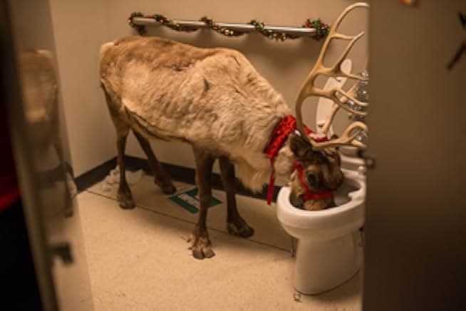 Office Christmas Party 2016