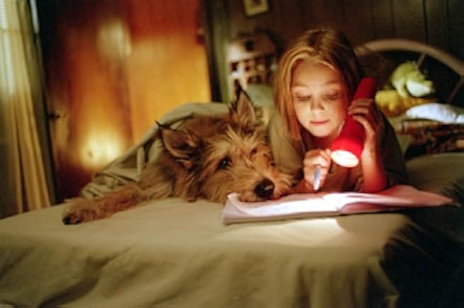Because of Winn-Dixie 2005