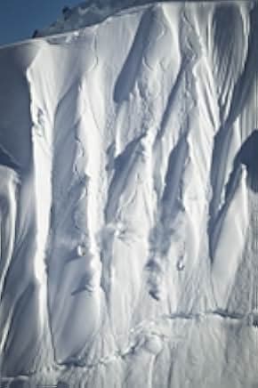 The Art of Flight 2011