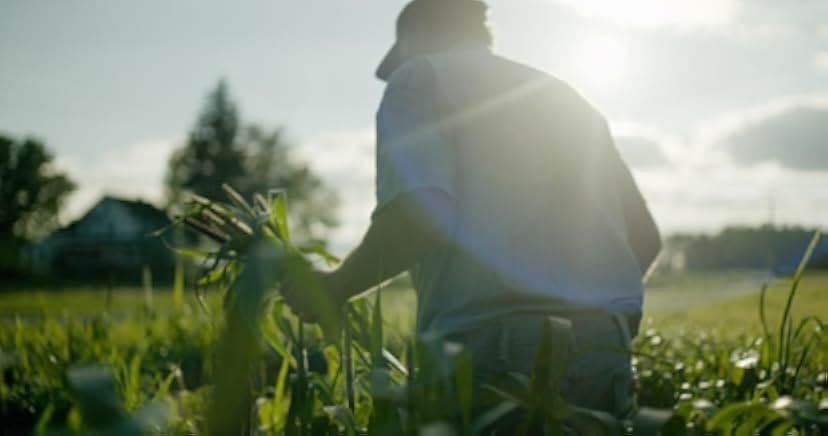 Wasted! The Story of Food Waste 2017