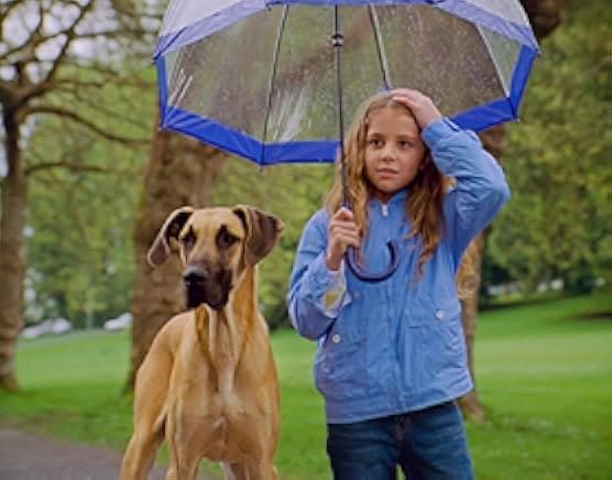 Chestnut: Hero of Central Park 2005