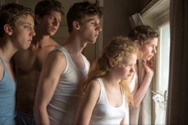 Confetti Harvest 2014