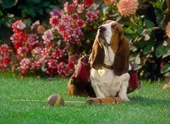 The Duke 1999