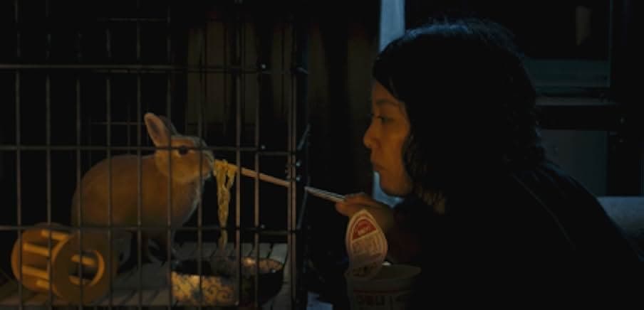 Kumiko, The Treasure Hunter 2014