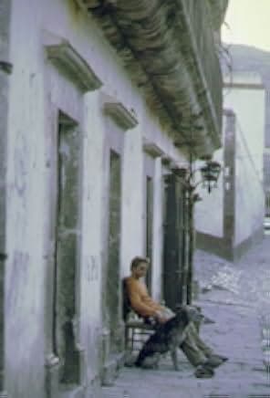 The Mexican 2001