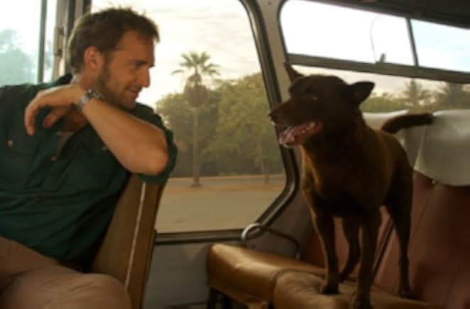 Red Dog 2011