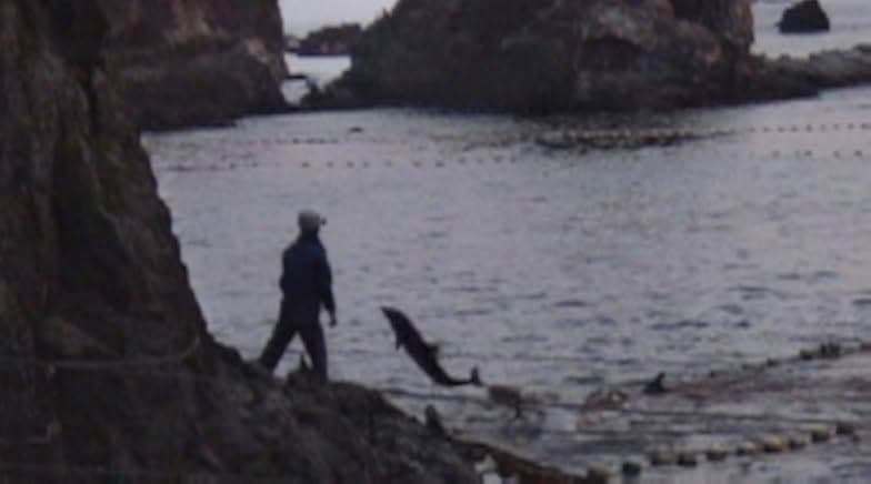 The Cove 2009