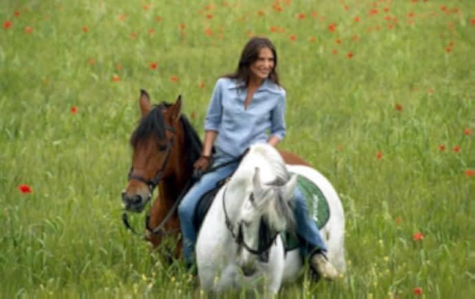 Shadows in the Sun 2006