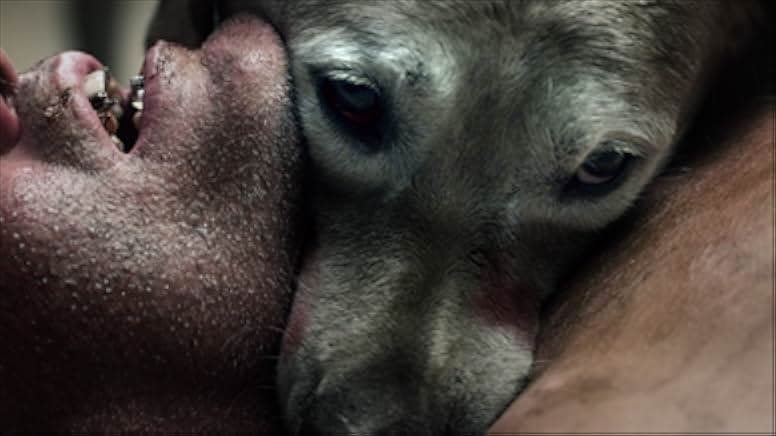 The ABCs of Death 2012