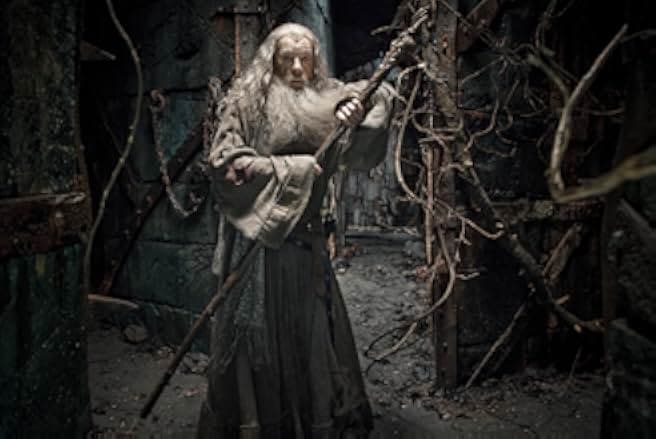 The Hobbit: The Desolation of Smaug 2013