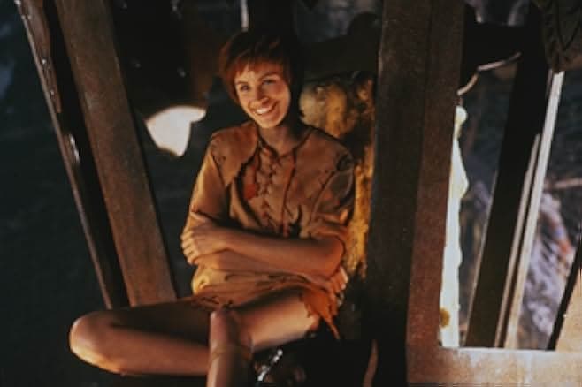 Hook 1991