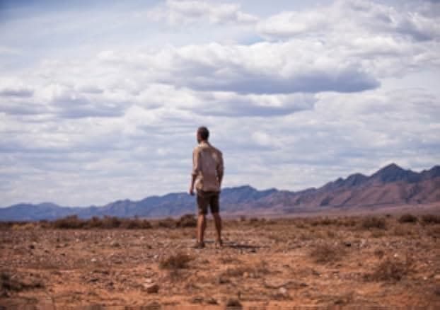 The Rover 2014