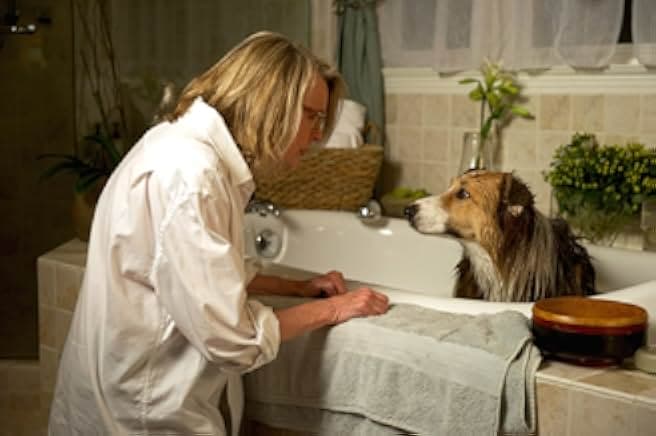 Darling Companion 2012