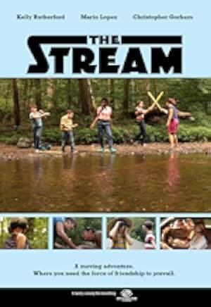 The Stream 2013