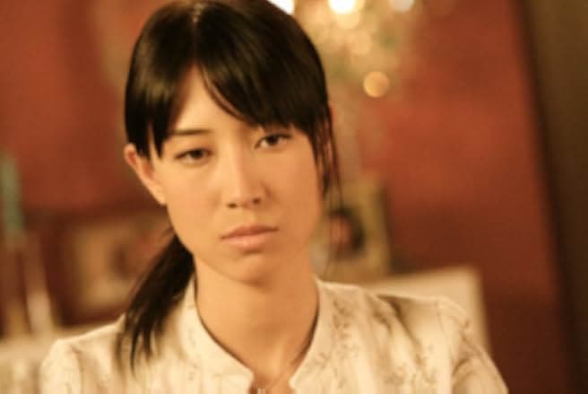 Irreversi 2010