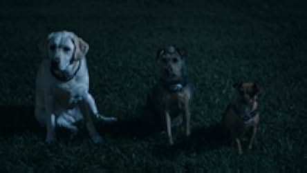 Space Pups 2023