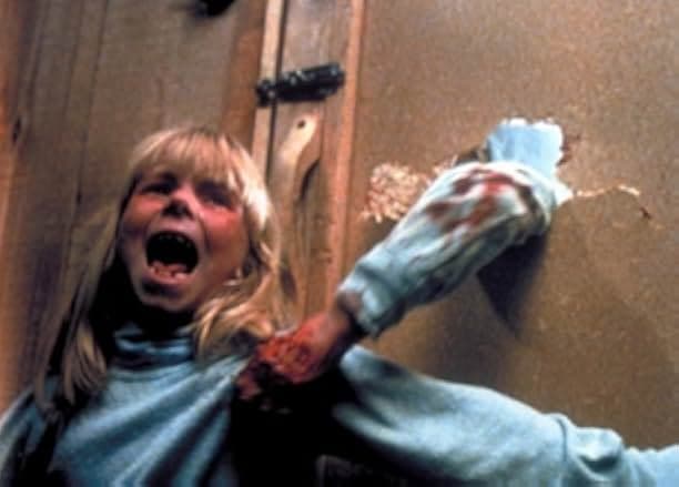 The Brood 1979
