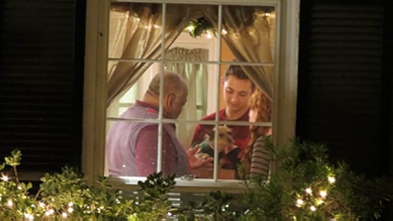 12 Dog Days Till Christmas 2014