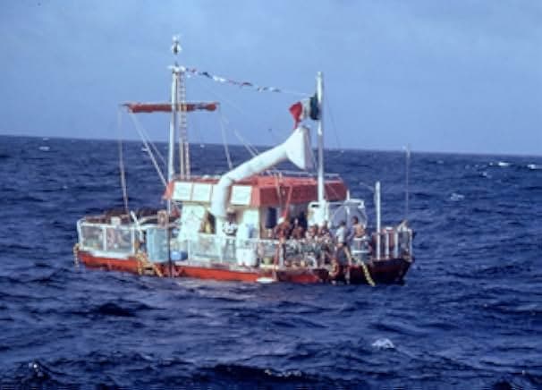 The Raft 2019