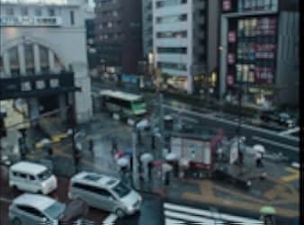 Perfect Days 2023