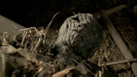 Messengers 2: The Scarecrow 2009