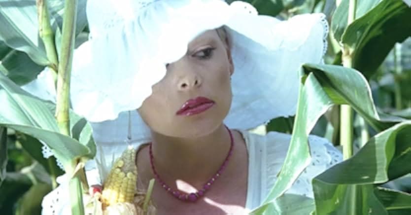 Die Nichten der Frau Oberst 1980