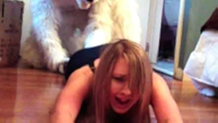 Daisy Derkins, Dogsitter of the Damned 2013