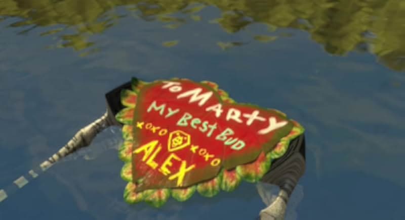 Madly Madagascar 2013