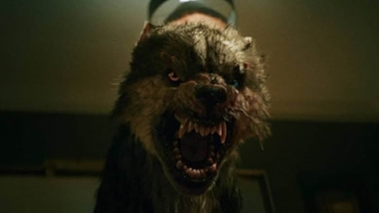 Viking Wolf 2022