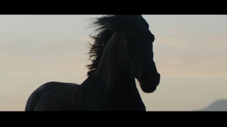 Wild Beauty: Mustang Spirit of the West 2023