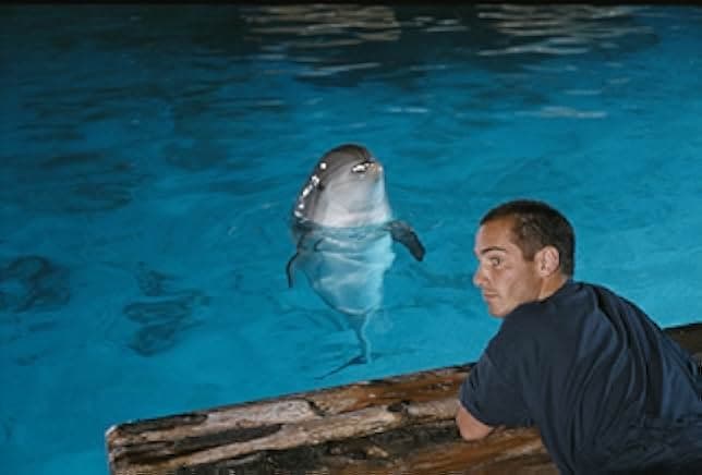 The Big Blue 1988