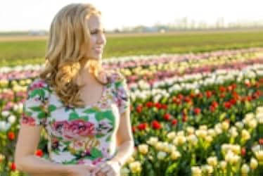 Tulips in Spring 2016