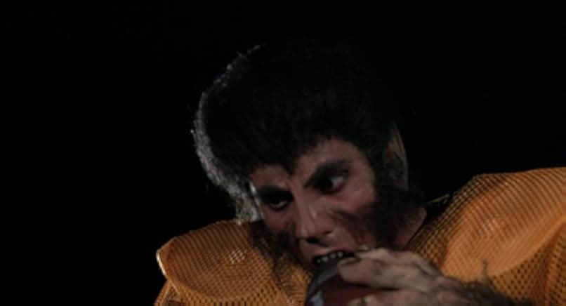 Full Moon High 1981
