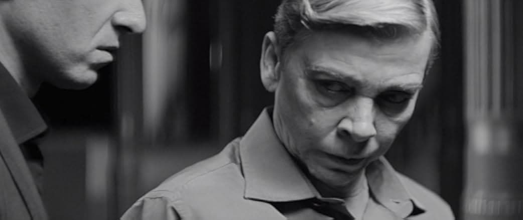 Wounded by the Wind 2017