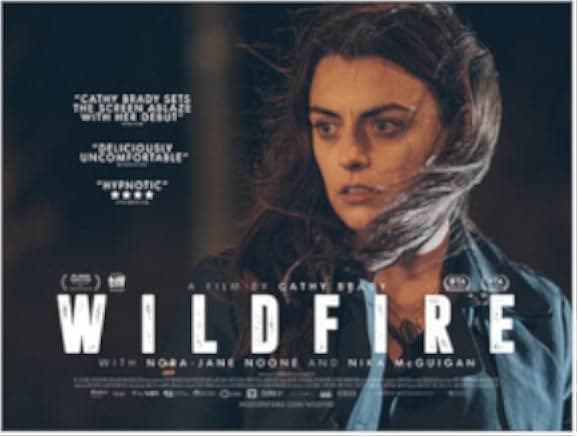Wildfire 2020