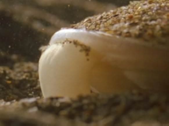 The Blue Planet 2002