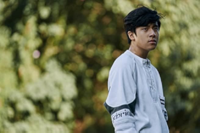 The Silent Forest 2020