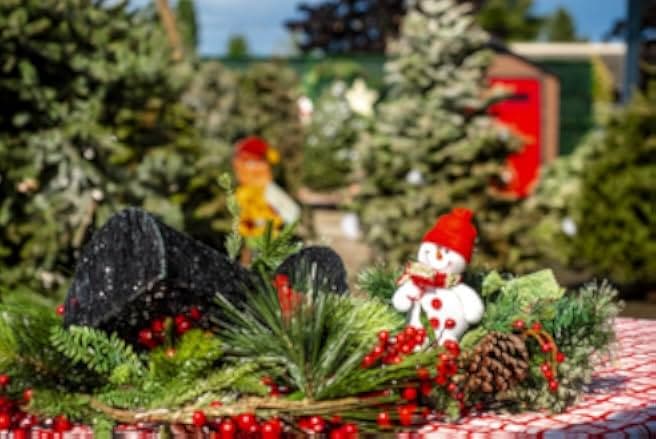 Christmas Under the Stars 2019