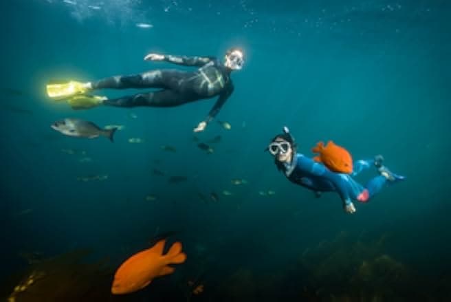 The Map to Paradise 2019