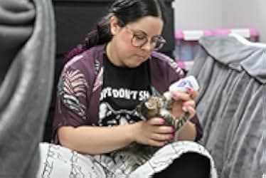 Running Wild: The Cats of Cornwall 2021