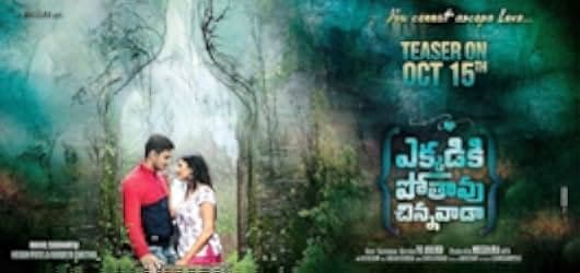 Ekkadiki Pothavu Chinnavada 2016