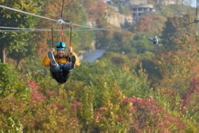 Falling in Love in Niagara 2024