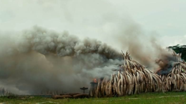 Anthropocene: The Human Epoch 2018