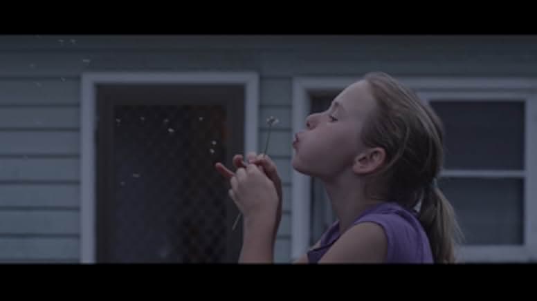 This Little Piggy 2017