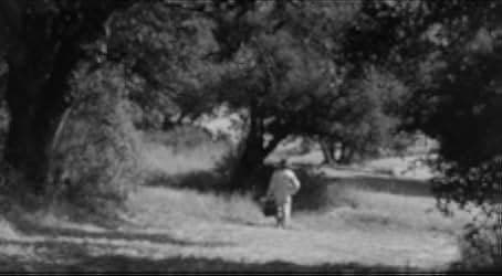 The Wasp Woman 1959