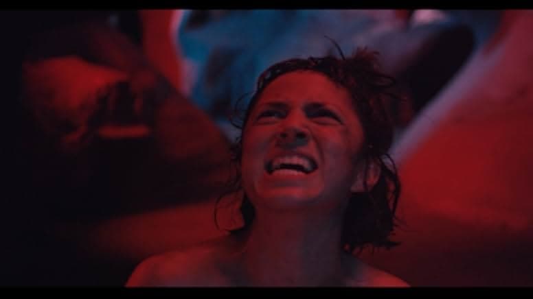 We Are the Flesh 2016