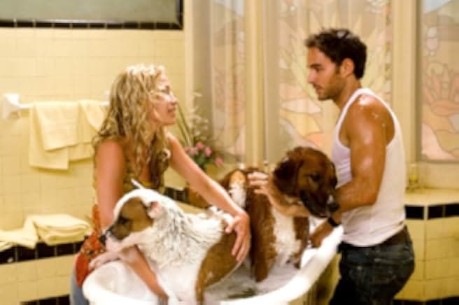 Beverly Hills Chihuahua 2008