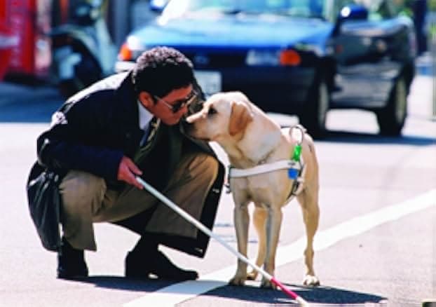 Quill: The Life of a Guide Dog 2004