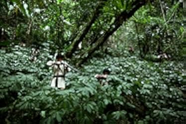 Sai de ke · ba lai: Tai yang qi 2011